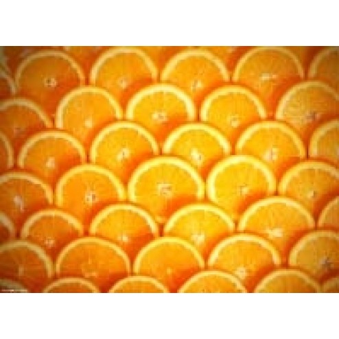 Tischsets | Platzsets - Fruchtig "Orangen" aus Papier - 44 x 32 cm
