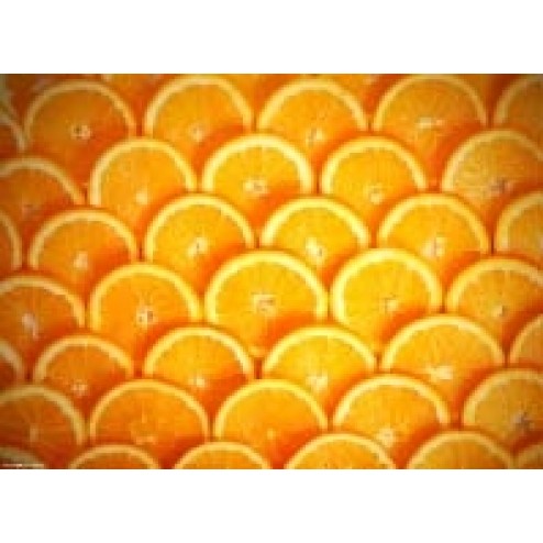 Tischsets | Platzsets - Fruchtig "Orangen" aus Papier - 44 x 32 cm