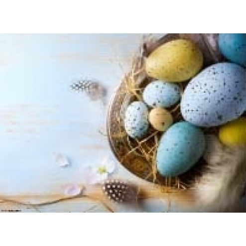 Buntes Osternest mit Eiern und Federn - Tischset aus Papier 44 x 32 cm