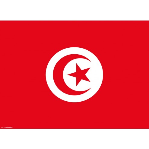 Flagge Tunesien - Tischset aus Papier 44 x 32 cm
