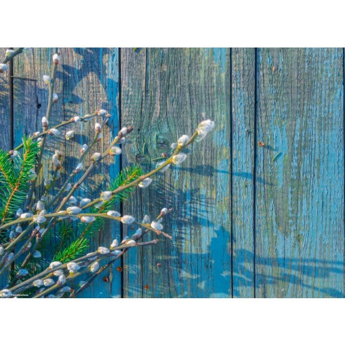 Weidenkätzchen auf blauem Holz - Tischset aus Papier 44 x 32 cm