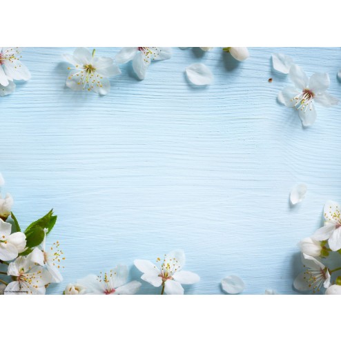 Apfelblüten auf blauem Holz - Tischset aus Papier 44 x 32 cm