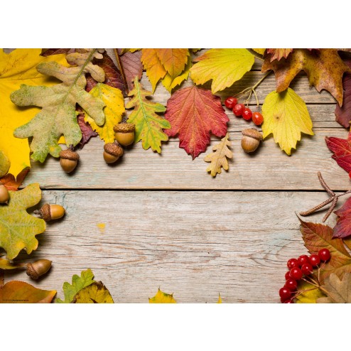 Bunter Herbst (1) - Tischset aus Papier 44 x 32 cm