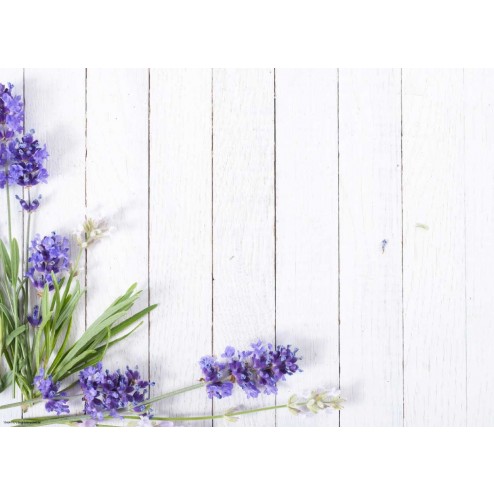 Lavendel auf weißem Holz - Tischset aus Papier 44 x 32 cm