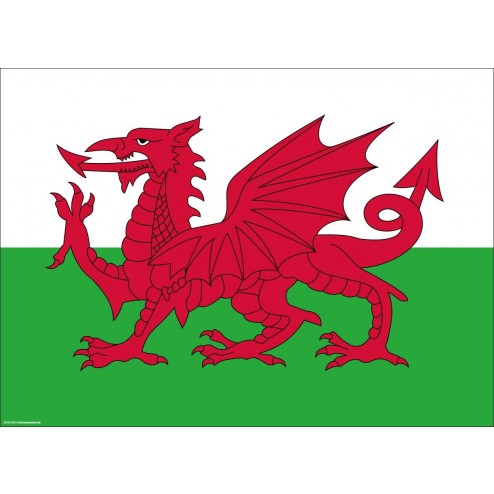 Flagge Wales - Tischset aus Papier 44 x 32 cm