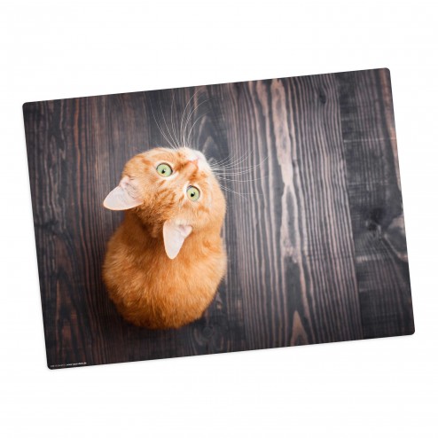 Orange Katze – Tischset aus Premium Vinyl (abwaschbar) – 1 Stück – 44 x 32 cm