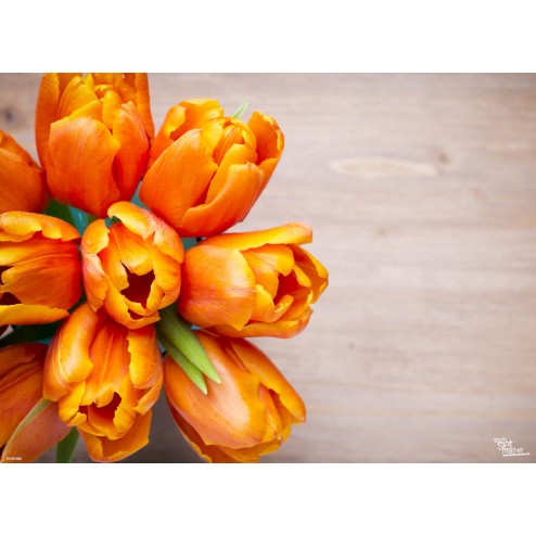 Orangene Tulpen - Tischset aus Papier 44 x 32 cm