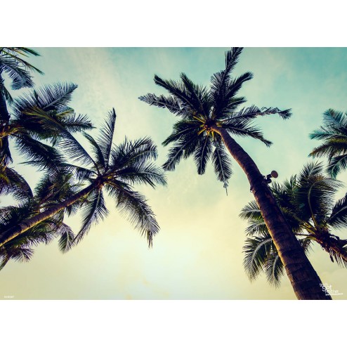 Tischset | Platzset - California feeling - aus Papier - 44 x 32 cmm