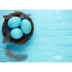  Osternest mit blau gefärbten Eiern - Tischset aus Papier 44 x 32 cm