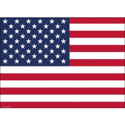 Flagge USA - Tischset aus Papier 44 x 32 cm