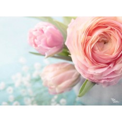Rosa Rosen - Tischset aus Papier 44 x 32 cm