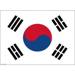 Flagge Südkorea - Tischset aus Papier 44 x 32 cm
