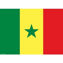 Flagge Senegal - Tischset aus Papier 44 x 32 cm