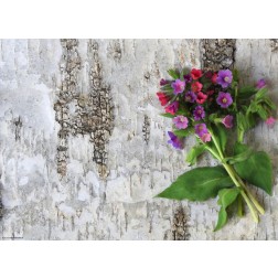 Lila Gartenblumen  - Tischset aus Papier 44 x 32 cm