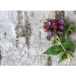 Lila Gartenblumen  - Tischset aus Papier 44 x 32 cm