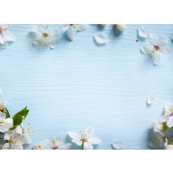 Apfelblüten auf blauem Holz - Tischset aus Papier 44 x 32 cm