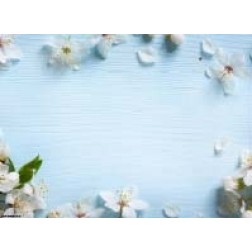 Apfelblüten auf blauem Holz - Tischset aus Papier 44 x 32 cm