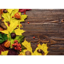 Rustikales Herbst Dekor - Tischset aus Papier 44 x 32 cm