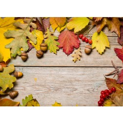 Bunter Herbst (1) - Tischset aus Papier 44 x 32 cm