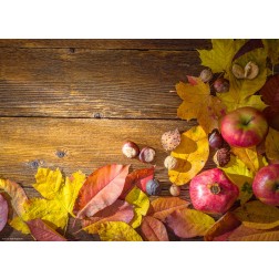 Herbstliche Äpfel - Tischset aus Papier 44 x 32 cm