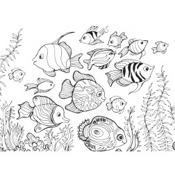 Fischschwarm - Tischset aus Papier 44 x 32 cm