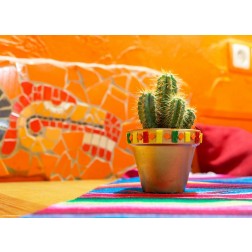 Bunter Kaktus - Tischset aus Papier 44 x 32 cm