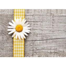 Blume auf Tisch - Tischset aus Papier 44 x 32 cm