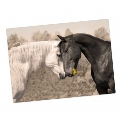 Liebende Pferde – Tischset aus Premium Vinyl (abwaschbar) – 1 Stück – 44 x 32 cm