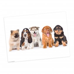 5 süße Hundewelpen – Tischset aus Premium Vinyl (abwaschbar) – 1 Stück – 44 x 32 cm
