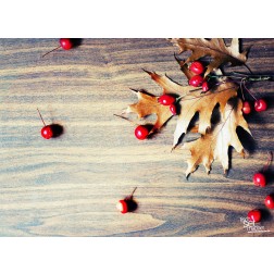 Tischsets | Platzsets - Herbstlich "Blätter mit Beeren" aus Papier - 44 x 32 cm