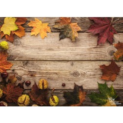 Tischsets | Platzsets - Herbststimmung "Ahornblätter mit Kastanien" aus Papier - 44 x 32 cm