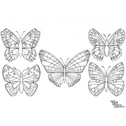 Tischsets | Platzsets - Malvorlagen "wunderschöne Schmetterlinge" aus Papier - 44 x 32 cm