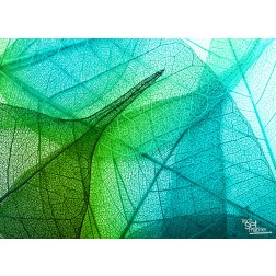 Zierblätter 1 - Tischset aus Papier 44 x 32 cm