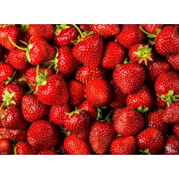 Tischsets | Platzsets - Fruchtig "Erdbeeren" aus Papier - 44 x 32 cm