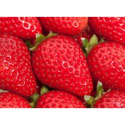 Tischsets | Platzsets - Saisonal "Erdbeeren nah" aus Papier - 44 x 32 cm
