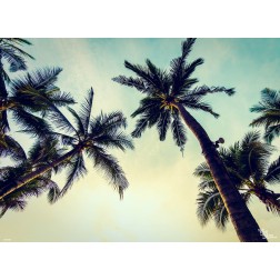 Tischset | Platzset - California feeling - aus Papier - 44 x 32 cmm