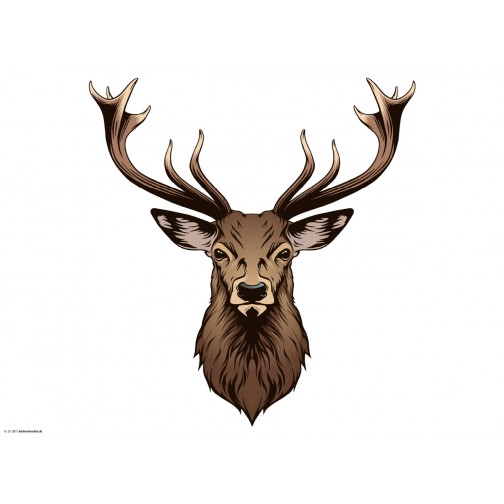Malvorlage Hirschkopf