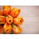 Orangene Tulpen - Tischset aus Papier 44 x 32 cm