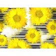 Sonnenblumen Grafik - Tischset aus Papier 44 x 32 cm