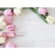 Tulpen weiß & rosa  - Tischset aus Papier 44 x 32 cm