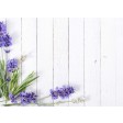 Lavendel auf weißem Holz - Tischset aus Papier 44 x 32 cm