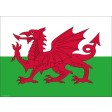 Flagge Wales - Tischset aus Papier 44 x 32 cm