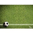 Tischsets | Platzsets - Männerabend "Fußball linke Ecke" aus Papier - 44 x 32 cm