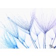 Pusteblume mit Wassertropfen - Tischset aus Papier 44 x 32 cm
