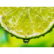 Tischsets | Platzsets - Fruchtig "Limette" aus Papier - 44 x 32 cm