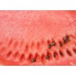 Tischset | Platzset - Wassermelone - aus Papier - 44 x 32 cm