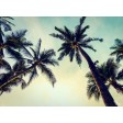 Tischset | Platzset - California feeling - aus Papier - 44 x 32 cmm