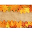Tischsets | Platzsets - Farbenfrohe Herbstblätter aus Papier - 44 x 32 cm