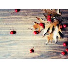 blaetter_mit_beeren