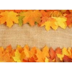 Tischsets | Platzsets - Farbenfrohe Herbstblätter aus Papier - 44 x 32 cm